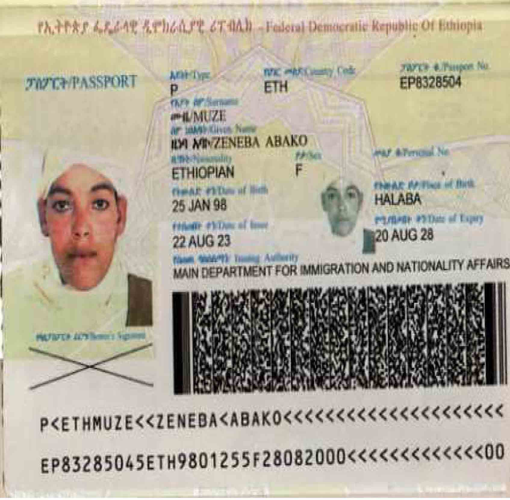 E1133