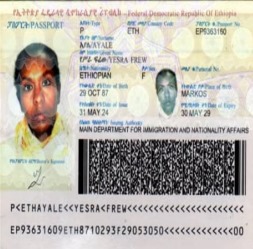 e1449 (1)