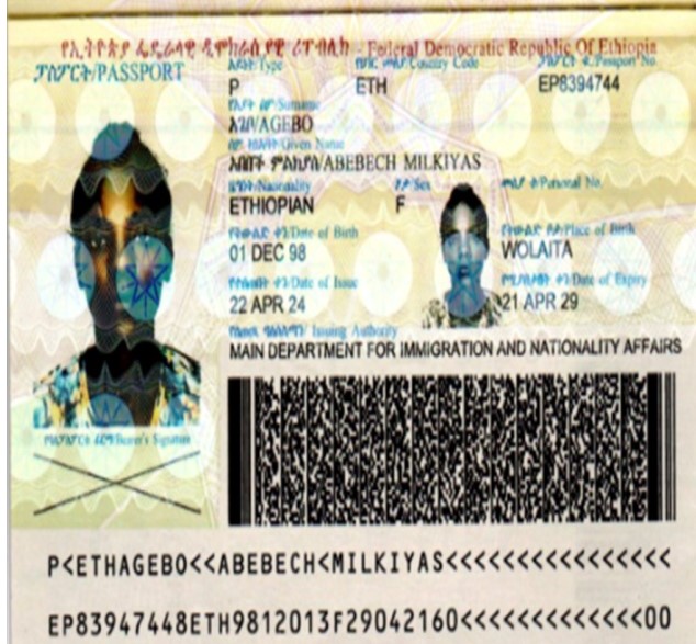 E1743 (4)