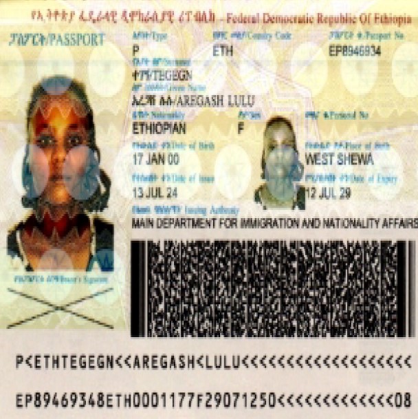 E1749 (4)