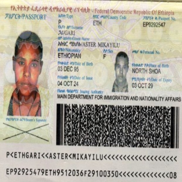 E1756 (5)