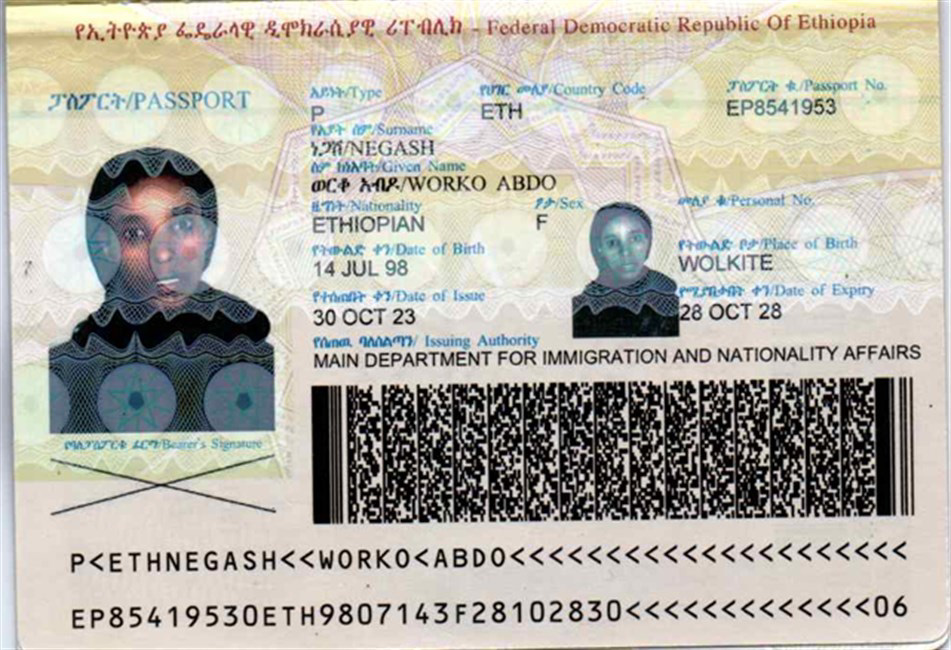E1824 (7)