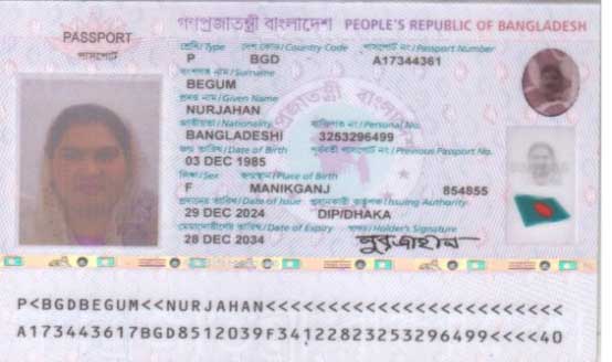 B1233 (3)
