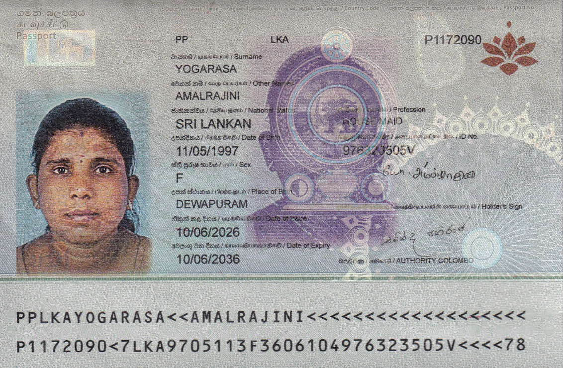 S1515 (3)
